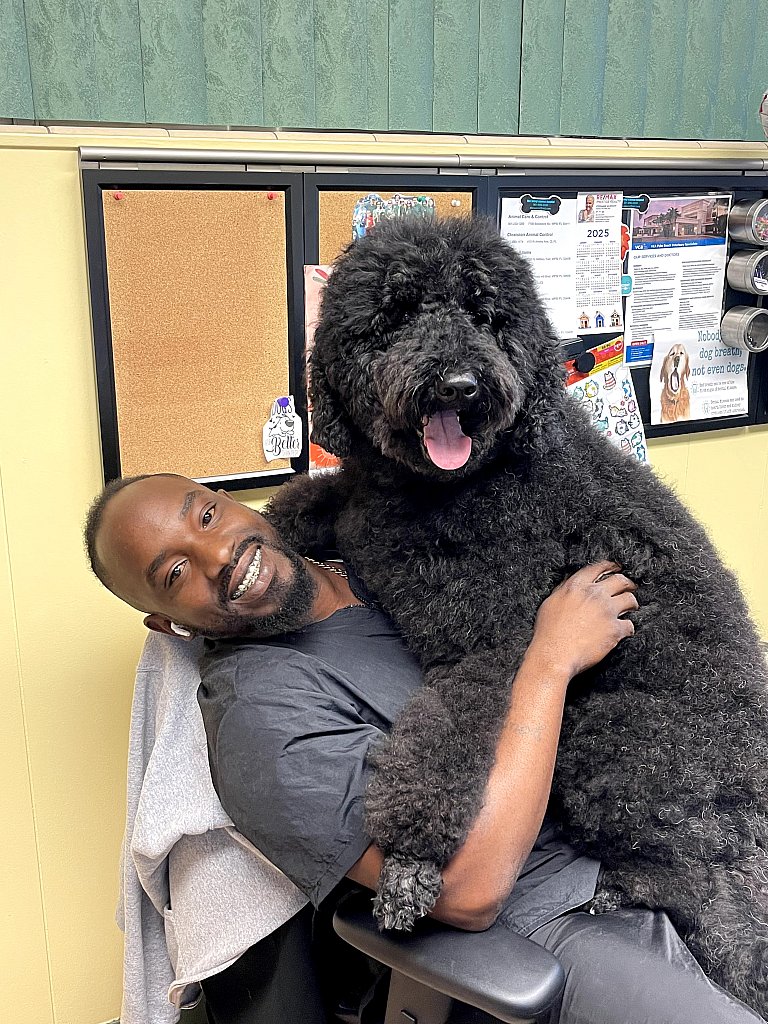 groomer2026